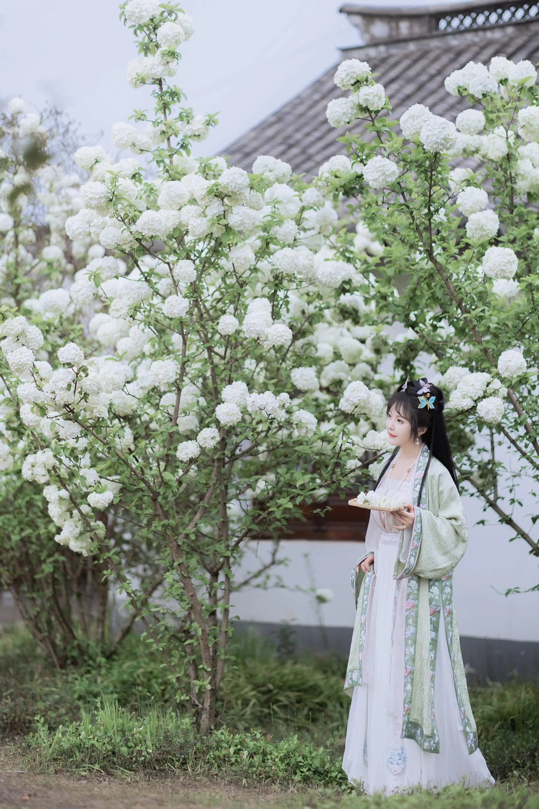 [艺图语] 2022.06.09 探春 璐璐haley [42P]插图3